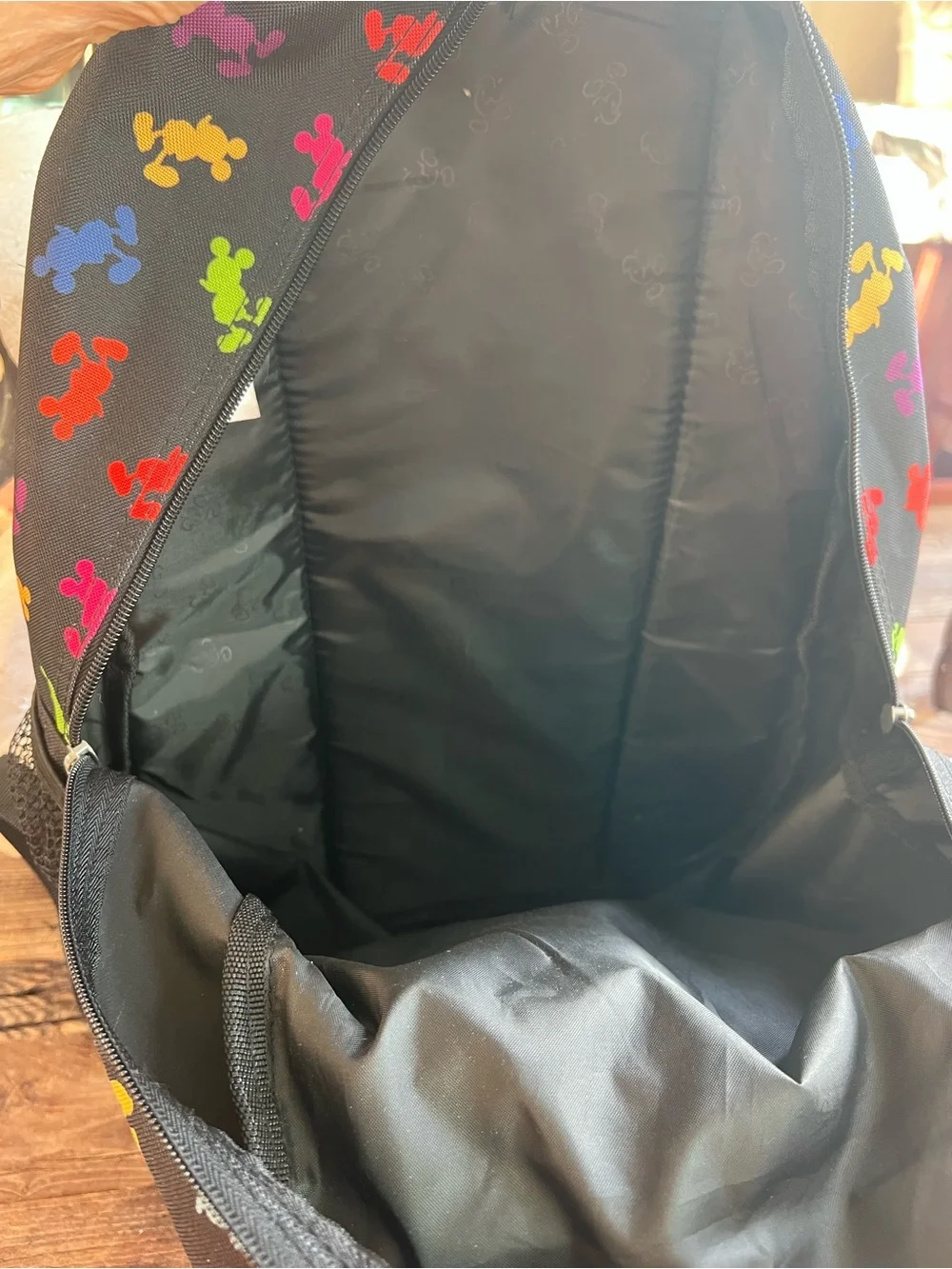 Disney Black Backpack with Rainbow Mickey Silhouettes